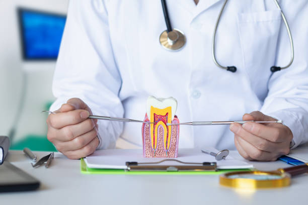 Best Pediatric Emergency Dentist in County Center, VA